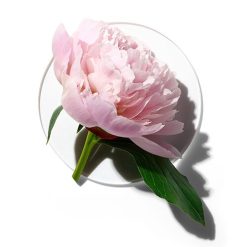 Best Sale ⭐ Clinique My Happy™ Peony Picnic Perfume ???? 2 Best Sale ⭐ Clinique My Happy™ Peony Picnic Perfume ???? -Elizabeth Arden - shop unnamed file 499