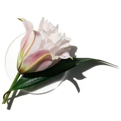 Cheapest 🛒 Clinique My Happy™ Lily Of The Beach Perfume ✨ 8 Cheapest 🛒 Clinique My Happy™ Lily Of The Beach Perfume ✨ -Elizabeth Arden - shop unnamed file 505