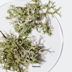 Cheap 🔥 Clinique Calyx™ Perfume 👍 9 Cheap 🔥 Clinique Calyx™ Perfume 👍 -Elizabeth Arden - shop unnamed file 513