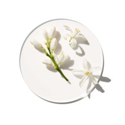 Cheapest ⭐ Perfume Clinique My Happy Baby Bouquet ???? 14 Cheapest ⭐ Perfume Clinique My Happy Baby Bouquet ???? -Elizabeth Arden - shop unnamed file 520