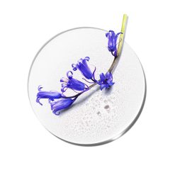 Best deal ???? Perfume Clinique My Happy Indigo Mist ???? -Elizabeth Arden - shop unnamed file 526