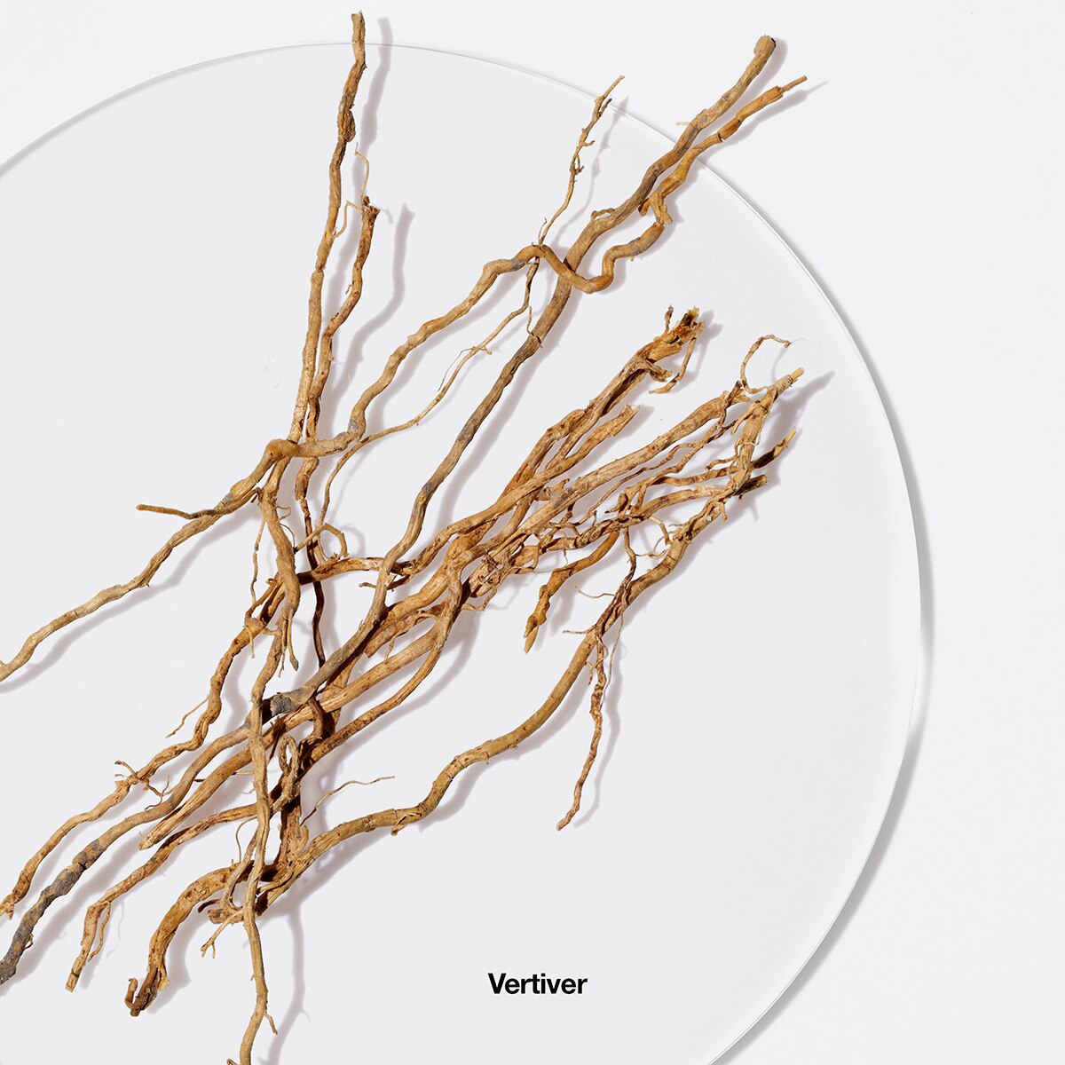 Clinique Aromatics Elixir™ Eau de Parfum New ???? Perfume Clinique Aromatics Elixir™ Eau De Parfum ✨ -Elizabeth Arden - shop unnamed file 537