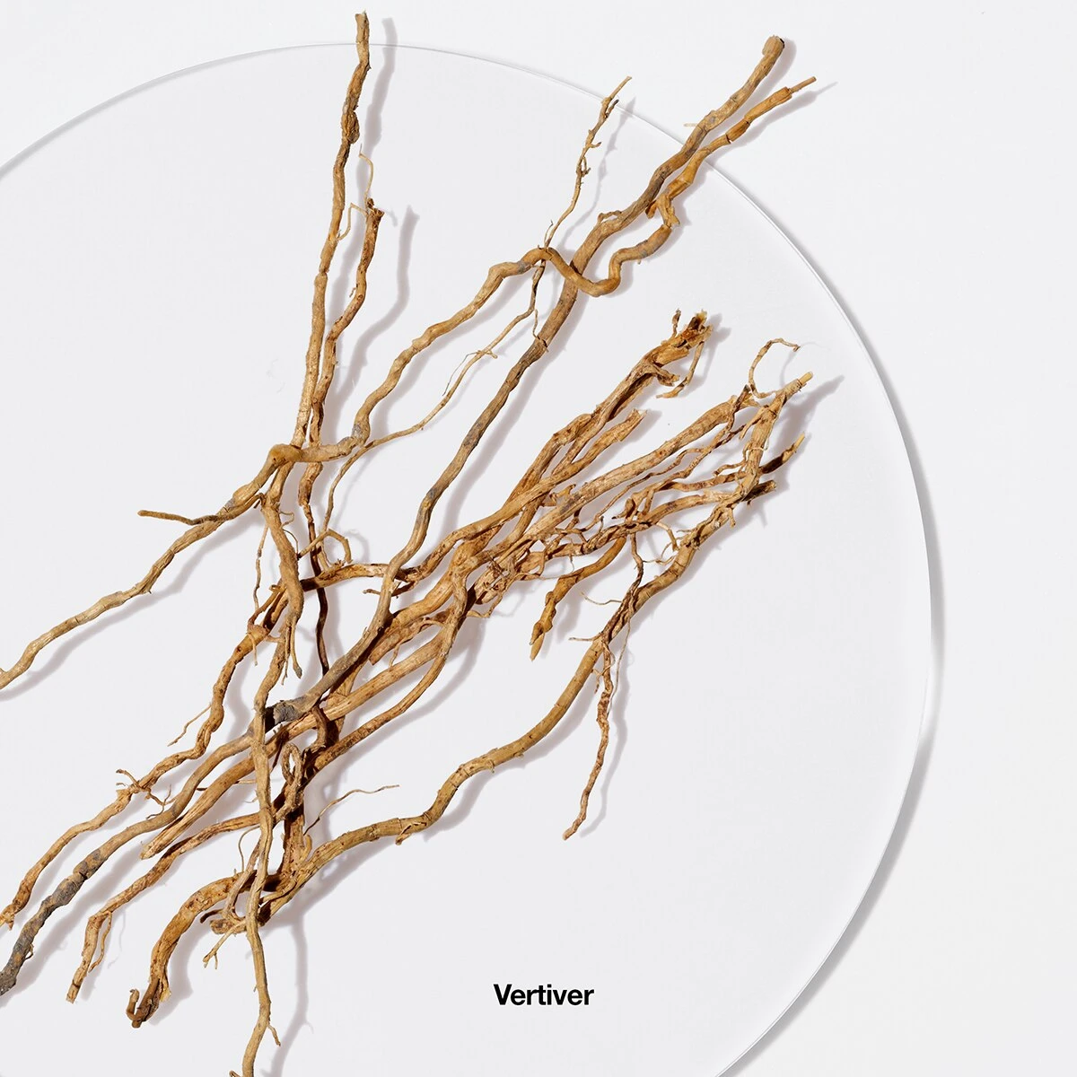 New 🥰 Perfume Clinique Aromatics Elixir™ Eau De Parfum ✨ 5 New 🥰 Perfume Clinique Aromatics Elixir™ Eau De Parfum ✨ - Image 5