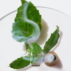 New 🥰 Perfume Clinique Aromatics Elixir™ Eau De Parfum ✨ 15 New 🥰 Perfume Clinique Aromatics Elixir™ Eau De Parfum ✨ -Elizabeth Arden - shop unnamed file 539