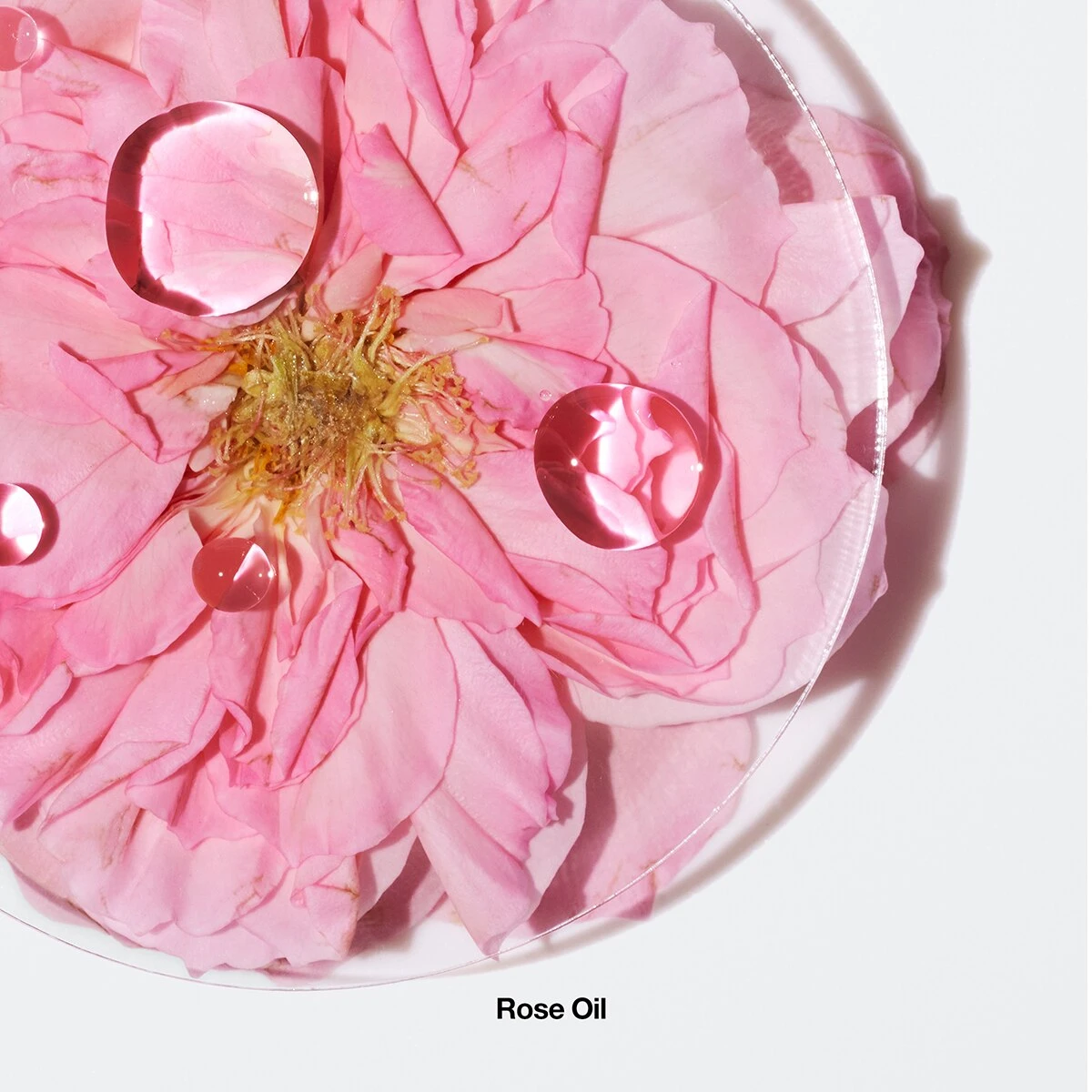 New 🥰 Perfume Clinique Aromatics Elixir™ Eau De Parfum ✨ 9 New 🥰 Perfume Clinique Aromatics Elixir™ Eau De Parfum ✨ - Image 9