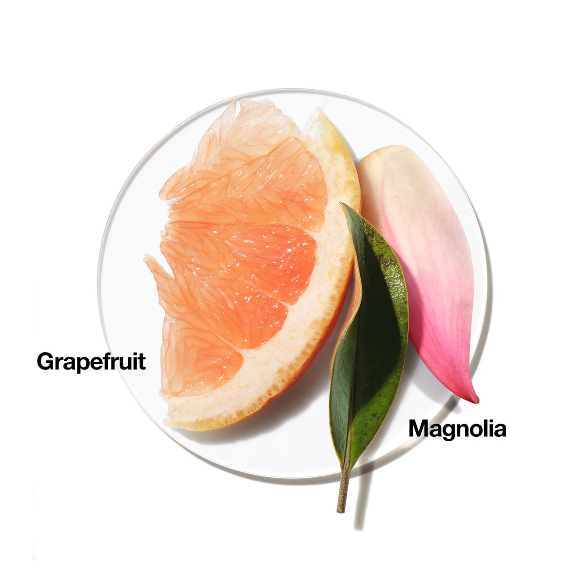 Clinique Absolutely Happy Fragrance Gift Set Outlet ⭐ Perfume Clinique Absolutely Happy Fragrance Gift Set ???? -Elizabeth Arden - shop unnamed file 553