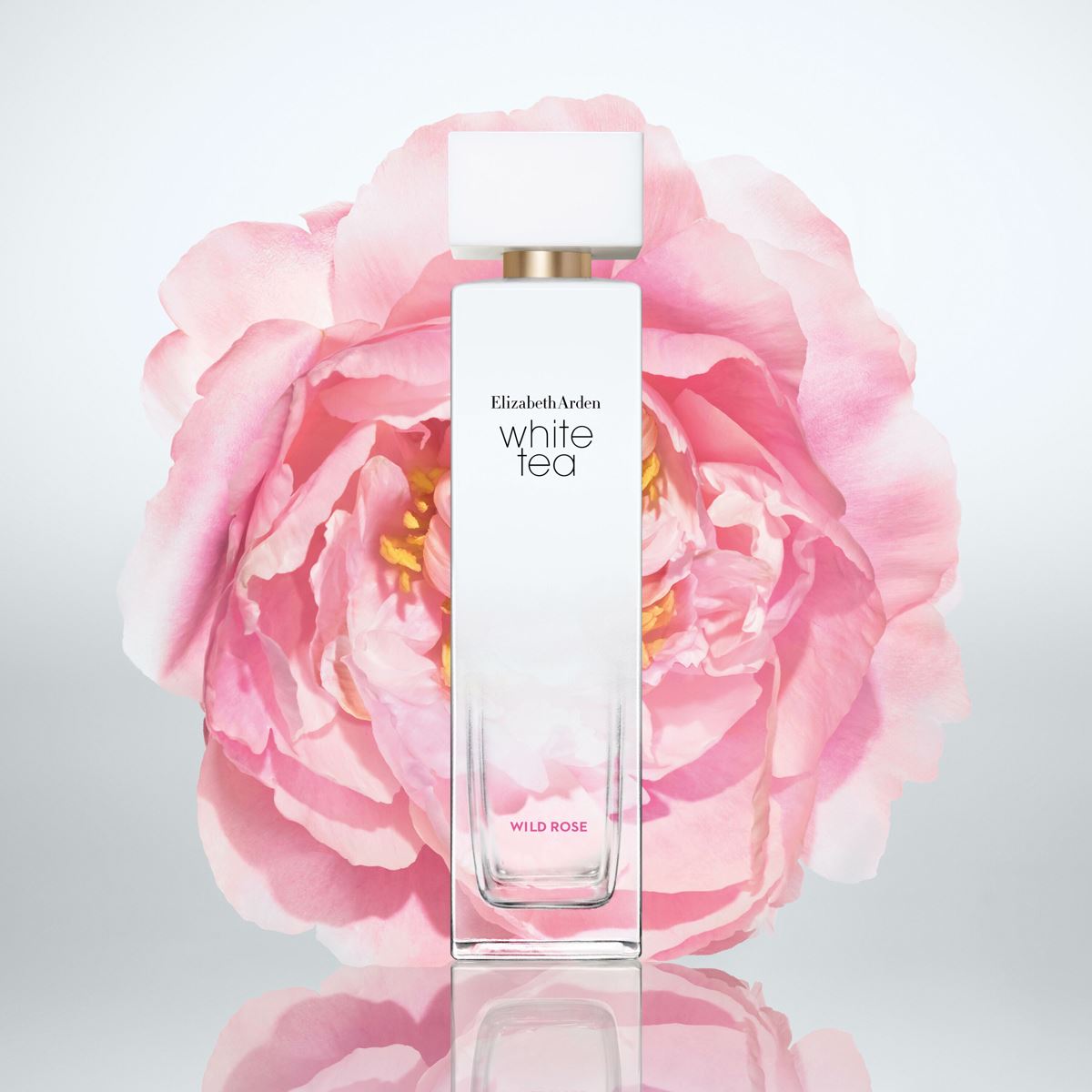 Elizabeth Arden White Tea Wild Rose Cheap ⭐ Elizabeth-Arden Perfume Elizabeth Arden White Tea Wild Rose ???? -Elizabeth Arden - shop unnamed file 752