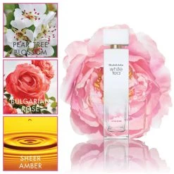 Cheap ⭐ Elizabeth-Arden Perfume Elizabeth Arden White Tea Wild Rose 💯 -Elizabeth Arden - shop unnamed file 753