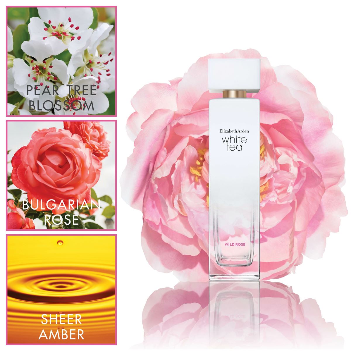 Elizabeth Arden White Tea Wild Rose Cheap ⭐ Elizabeth-Arden Perfume Elizabeth Arden White Tea Wild Rose ???? -Elizabeth Arden - shop unnamed file 753