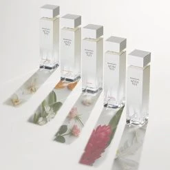 Deals βοΈ Elizabeth-Arden Perfume Elizabeth Arden Eau De Toilette White Tea Ginger Lily π 12 Deals βοΈ Elizabeth-Arden Perfume Elizabeth Arden Eau De Toilette White Tea Ginger Lily π -Elizabeth Arden - shop unnamed file 765