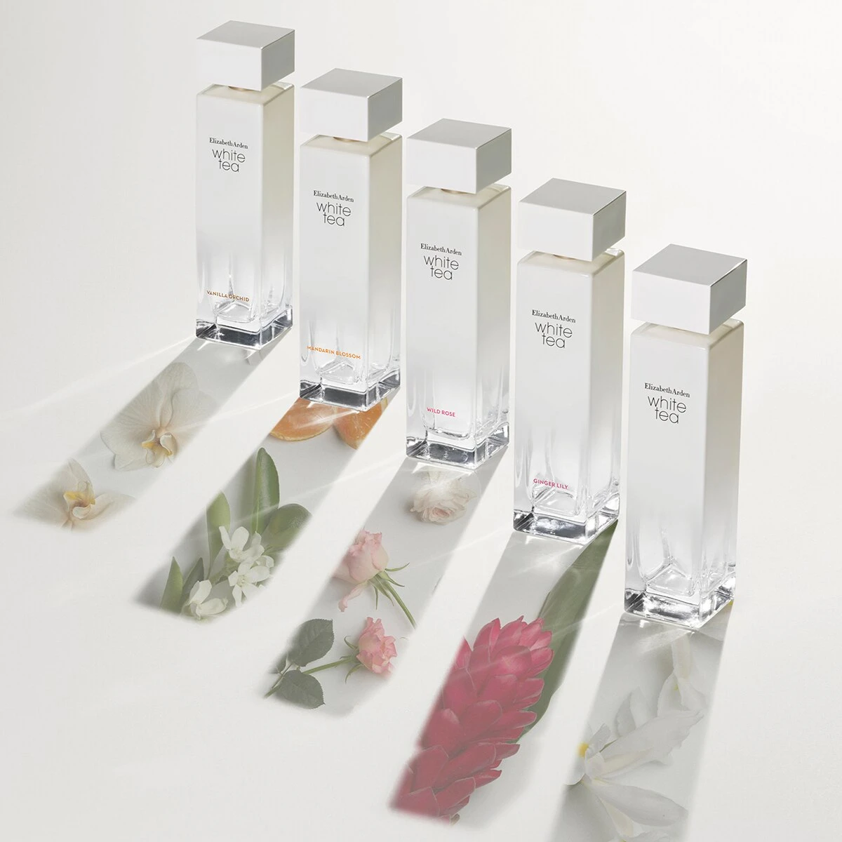 Deals βοΈ Elizabeth-Arden Perfume Elizabeth Arden Eau De Toilette White Tea Ginger Lily π 6 Deals βοΈ Elizabeth-Arden Perfume Elizabeth Arden Eau De Toilette White Tea Ginger Lily π - Image 6