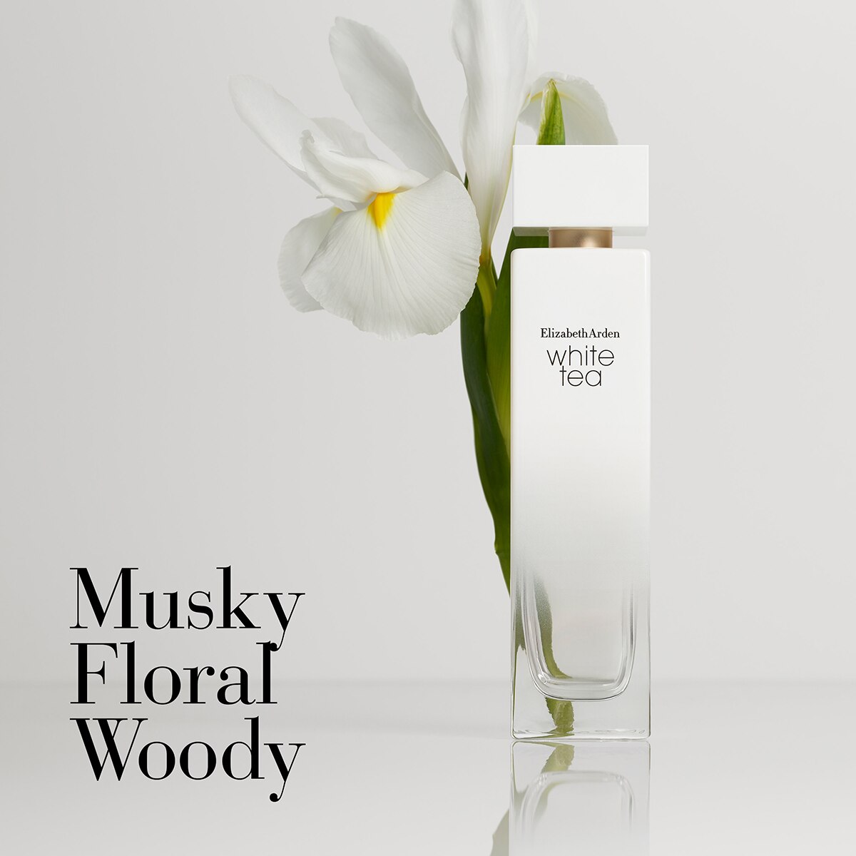 Elizabeth Arden White Tea 3.3oz. Eau de Toilette Gift Set Wholesale ???? Elizabeth-Arden Perfume Elizabeth Arden White Tea 3.3oz. Eau De Toilette Gift Set ???? -Elizabeth Arden - shop unnamed file 770
