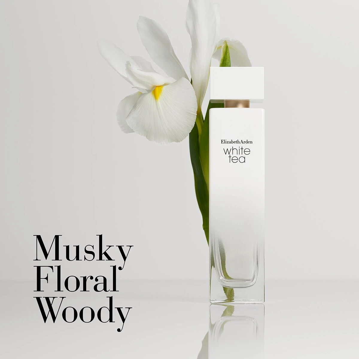 Top 10 π₯ Elizabeth-Arden Perfume Elizabeth Arden White Tea Fragrance Collection Mini Coffret Set π 2 Top 10 π₯ Elizabeth-Arden Perfume Elizabeth Arden White Tea Fragrance Collection Mini Coffret Set π - Image 2