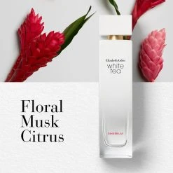 Top 10 π₯ Elizabeth-Arden Perfume Elizabeth Arden White Tea Fragrance Collection Mini Coffret Set π 9 Top 10 π₯ Elizabeth-Arden Perfume Elizabeth Arden White Tea Fragrance Collection Mini Coffret Set π -Elizabeth Arden - shop unnamed file 776