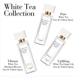 Top 10 π₯ Elizabeth-Arden Perfume Elizabeth Arden White Tea Fragrance Collection Mini Coffret Set π 10 Top 10 π₯ Elizabeth-Arden Perfume Elizabeth Arden White Tea Fragrance Collection Mini Coffret Set π -Elizabeth Arden - shop unnamed file 777