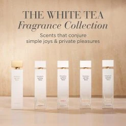 Wholesale π Elizabeth-Arden Perfume Elizabeth Arden Eau De Parfum White Tea π 17 Wholesale π Elizabeth-Arden Perfume Elizabeth Arden Eau De Parfum White Tea π -Elizabeth Arden - shop unnamed file 787