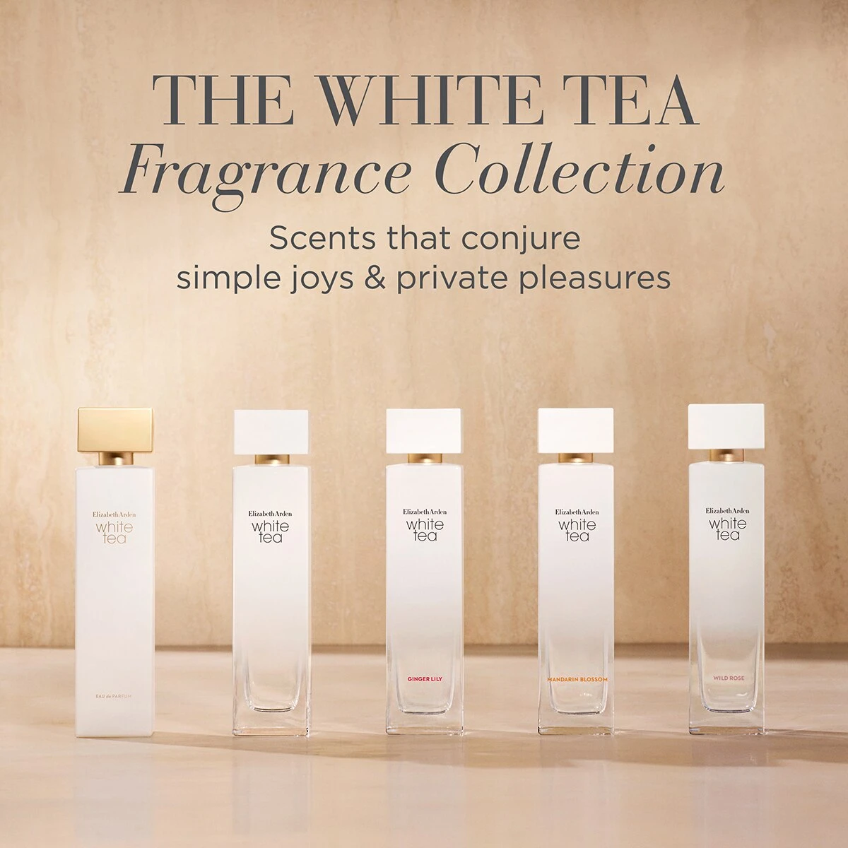 Wholesale π Elizabeth-Arden Perfume Elizabeth Arden Eau De Parfum White Tea π 9 Wholesale π Elizabeth-Arden Perfume Elizabeth Arden Eau De Parfum White Tea π - Image 9