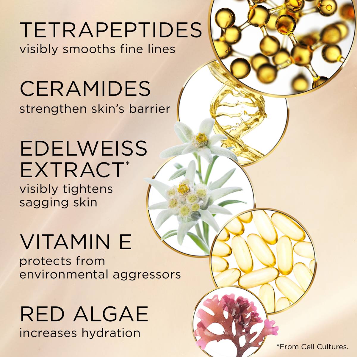 Hot Sale ⭐ Elizabeth-Arden Skincare Elizabeth Arden New Ceramide Lift And Firm Day Cream ⭐ 6 Hot Sale ⭐ Elizabeth-Arden Skincare Elizabeth Arden New Ceramide Lift And Firm Day Cream ⭐ - Image 6